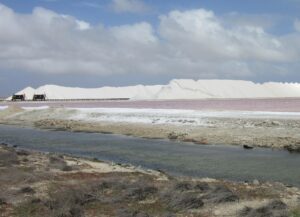 A view of the desert from across the water.