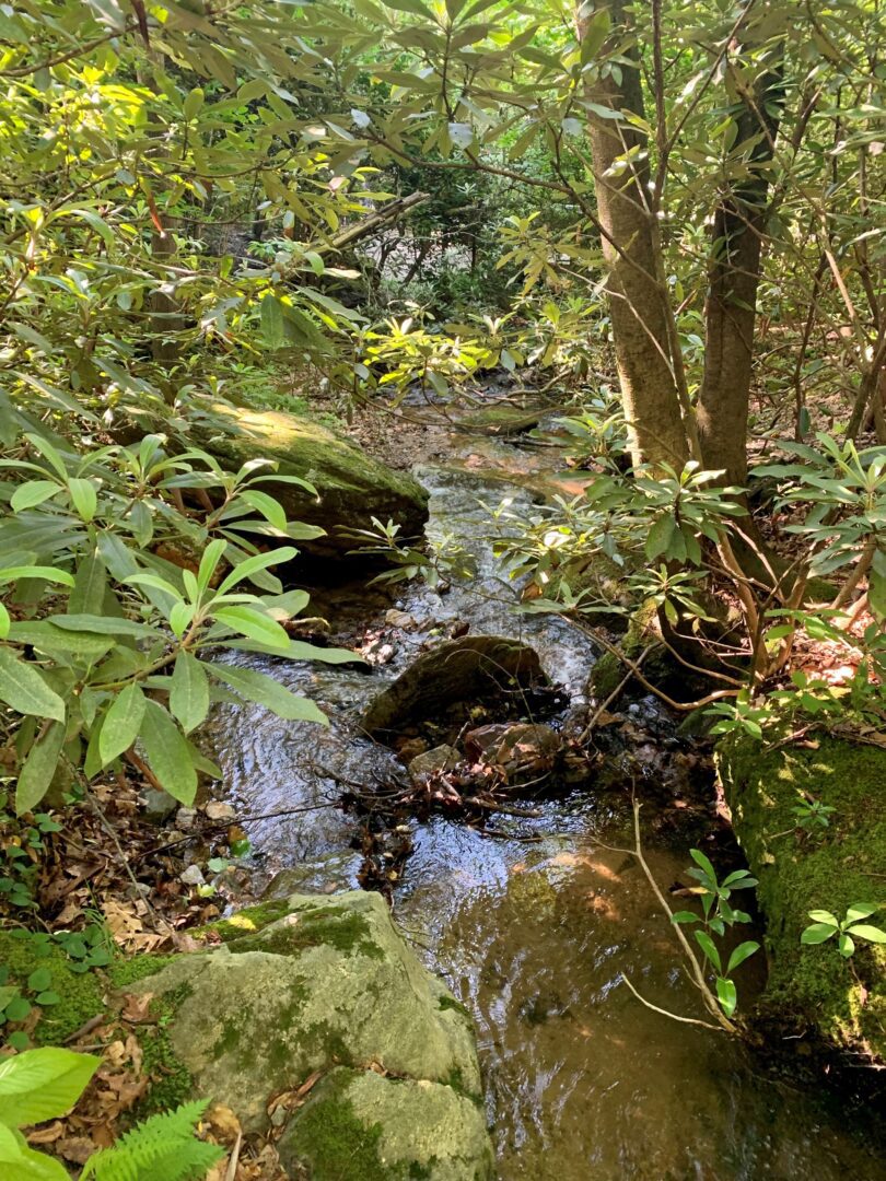 Prayer Garden Call of the Living Water